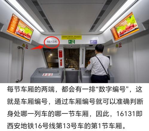 看头条怎么显示红点点,一键掌握热点动态