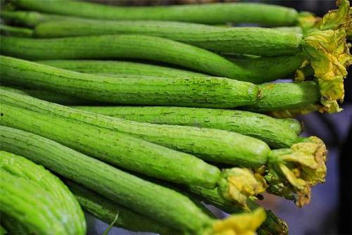 怀孕吃嫩瓜尖,嫩瓜尖的营养价值与食用指南