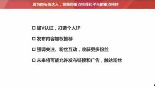 头条的粉丝可以查看吗吗,如何查看与利用粉丝数据