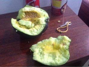 最近吃瓜吃噎了