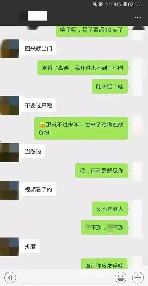 聊天记录恶心吃瓜,一场令人作呕的吃瓜盛宴