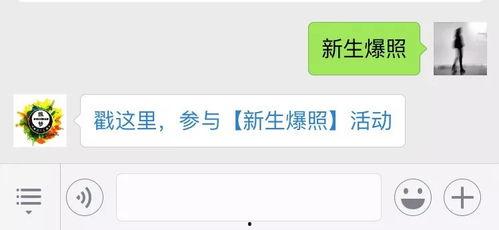 拍摄照片能上传头条吗吗,如何将您的照片上传头条，分享精彩瞬间