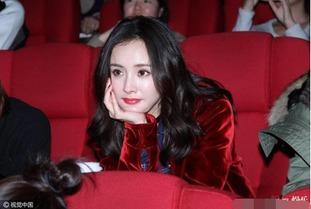 杨幂八卦最新爆料