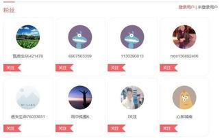 头条号高画质模式,头条号高画质模式，带你领略极致清晰之美