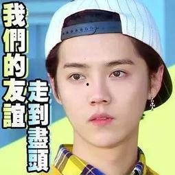 娱乐圈吃瓜群众搞笑