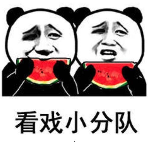 娱乐吃瓜表情包图片可爱